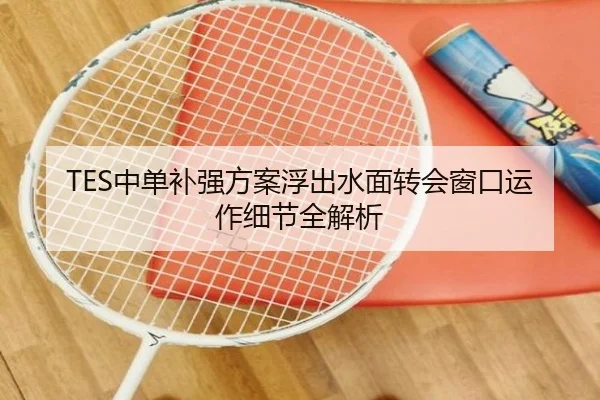 TES中单补强方案浮出水面转会窗口运作细节全解析 | QIANYISPORTS